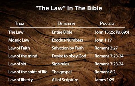 what are the books of law in the bible and how do they reflect ancient legal systems?